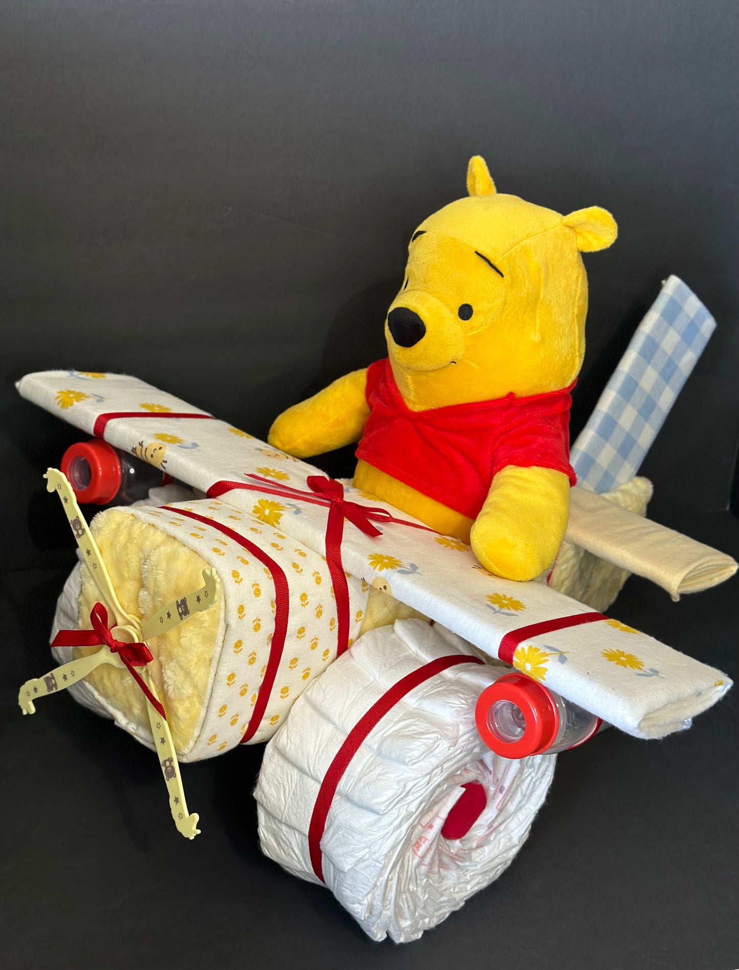 Winnie the Pooh Airplane