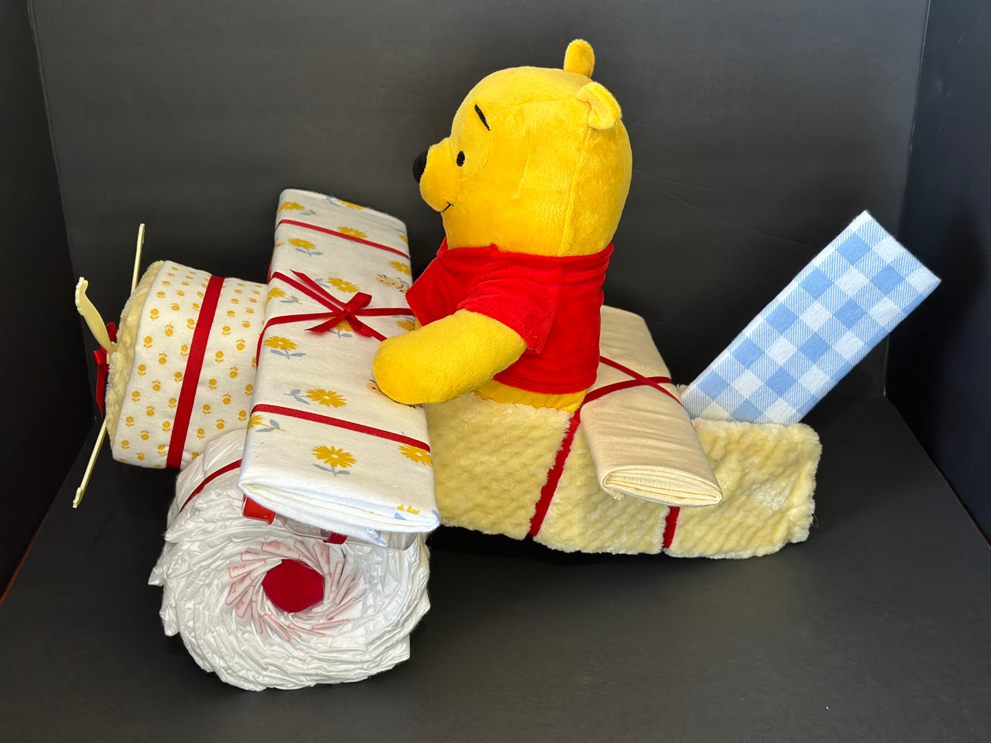 Winnie the Pooh Airplane